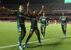 Sintético e empresa de Leila distanciam acordo entre São Paulo e Palmeiras - Reprodução/Instagram @palmeiras