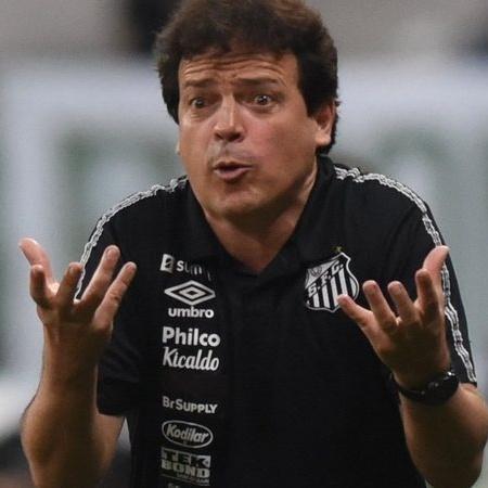 Fernando Diniz: menos finalizações contra - Ivan Storti/Santos FC