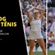 O t&ecirc;nis tcheco volta a dominar Wimbledon