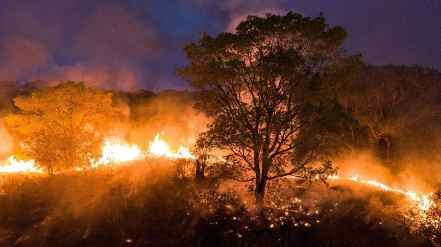 Incêndios estão consumindo o Pantanal                              - IBERE PERISSE/PROJETO SOLOS/AFP                            
