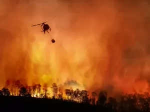 Amazônia registra o maior número de incêndios florestais em 17 anos