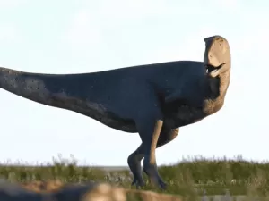 Conheça o Koleken inakayali, nova espécie de dinossauro descoberta na Argentina