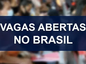 Processos seletivos no Sebrae, Cate Móvel e empresas somam 1,5 mil vagas abertas