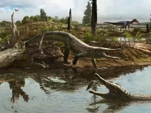 Crocodilo pré-histórico de quatro metros é descoberto no interior de SP