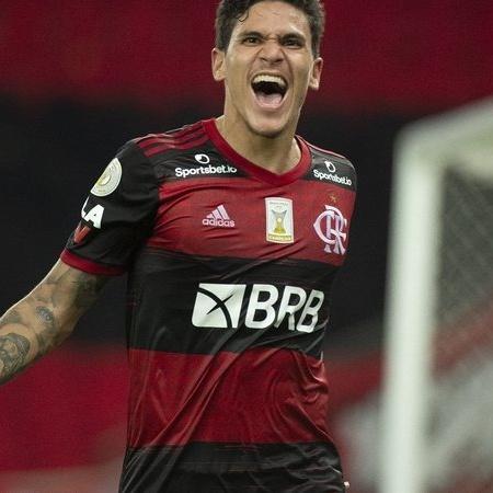 Pedro foi convocado por Tite para jogos da seleção brasileira pelas Eliminatórias - Alexandre Vidal / Flamengo
