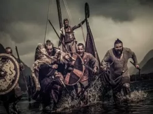 DNA de morsa revela segredo sobre os vikings