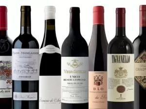 TOP 100 da Revista ADEGA: os melhores vinhos do ano 2024