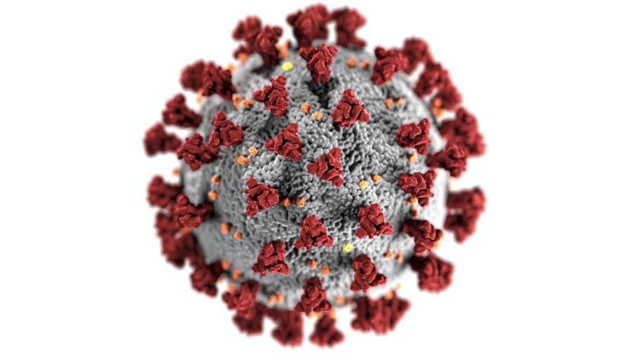  Nova variante do coronavírus é identificada no interior de SP, confirma SBV      -  Rawpixel     