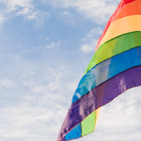 Bandeira LGBTQIA+ (Foto: Reprodução) - Reprodução / Internet