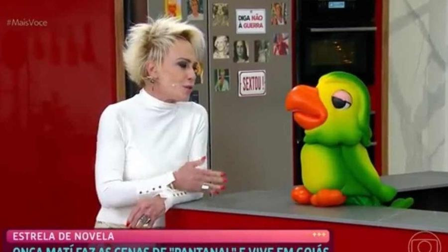 Ana Maria Braga apresenta o "Mais Você" ao lado do Louro Mané                              - Reprodução/TV Globo                            