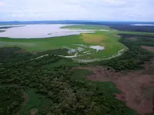 PV vai ao STF contra lei que autoriza pecuária em área de preservação