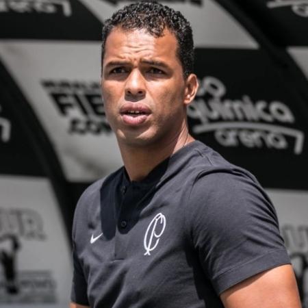 Fernando Lázaro é o novo técnico do Corinthians (Foto: Divulgação) - 