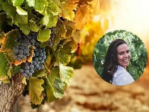 Conheça a lenda da natação olímpica que agora se destaca no mundo do vinho