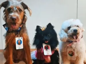 Cachorros de Família É Tudo têm camarim exclusivo e tratamento VIP na Globo