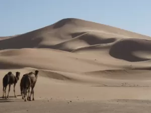Cientistas decifram segredo sobre as dunas mais altas da Terra