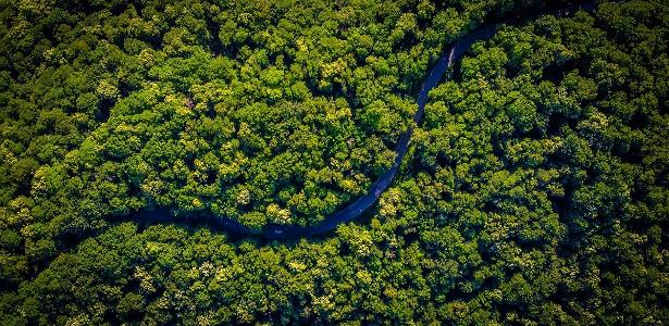 Pai de Vorcaro está por trás de ativos ambientais inflados em bilhões