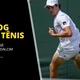 WImbledon define favoritos e Fonseca ser&aacute; cabe&ccedil;a 24