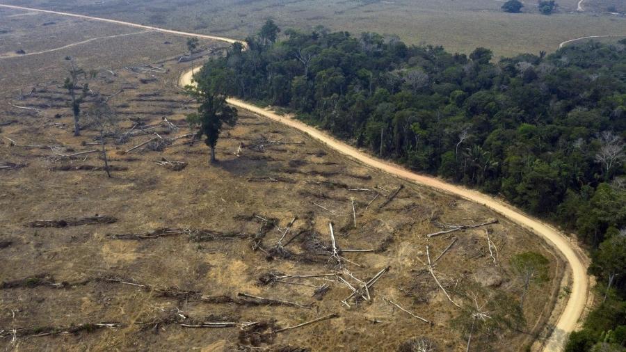                                  DEVASTAçãO Floresta Amazônia foi a área com maior perda de vegetação                              -                                 CARLOS FABAL/AFP                            
