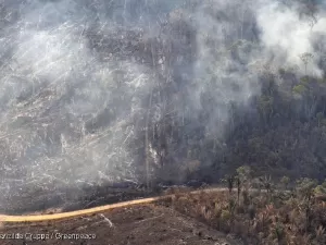 Fotos aéreas do Greenpeace documentando queimadas na Amazônia lembram a emergência da crise climática