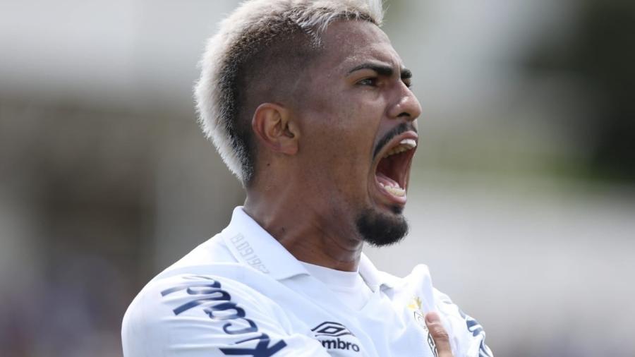 Santos acerta empréstimo de Ivonei ao Botafogo de Ribeirão Preto - Pedro Ernesto Guerra Azevedo/Santos FC