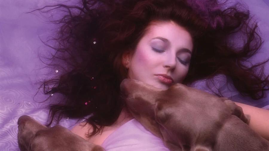 A cantora Kate Bush A cantora Kate Bush