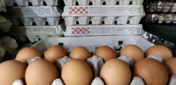 Com calor e milho caro, ovo tem o preço mais alto em 22 meses no Brasil