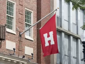 Pesquisadora acusa Harvard de demiti-la para agradar Facebook