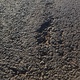 Ap&oacute;s problemas na MotoGP, asfalto do Aut&oacute;dromo de Goi&acirc;nia ser&aacute; totalmente trocado 