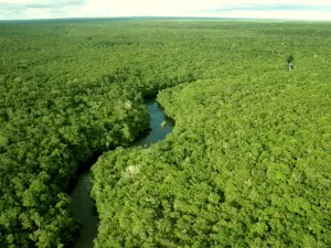 Virada Parlamentar promove audiência sobre desmatamento da Amazônia