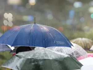 Estudo encontrou uma forma diferente de descobrir se vai chover ou nevar; veja