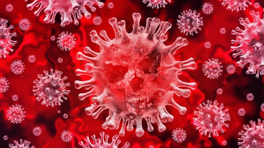 Estrutura do coronavírus, que já matou milhares de pessoas no mundo - Reprodução