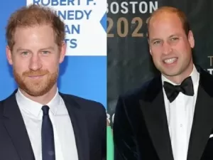 Autora surpreende ao contar como era relação de Harry e William antes da morte da princesa Diana