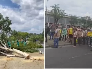 Corte de árvores em torno do Mineirão gera desaprovação a Stock Car, PBH promete plantio de novas unidades arbóreas