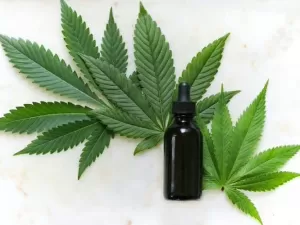 O que é cannabis medicinal e para que serve?