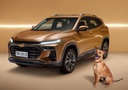 Tracker Caramelo: Chevrolet lança edição especial e destina leilão à causa animal - https://carsughi.uol.com.br/wp-content/uploads/2025/10/tracker-caramelo-e-lancado-em-homenagem-a-cachorro-estrela-do-filme-da-netflix.jpg