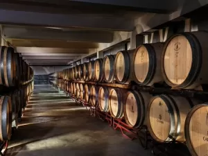 Descubra quais são os melhores vinhos do Alentejo