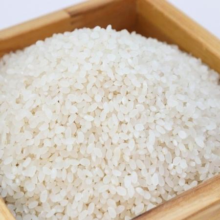 Governo Federal autoriza importação de arroz após enchentes no sul do país 