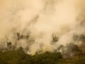 SOS Pantanal: Governo aloca R$ 100 milhões para combater incêndios