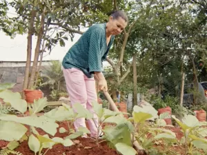 TV Cultura exibe documentário inédito em homenagem ao Dia Mundial da Alimentação