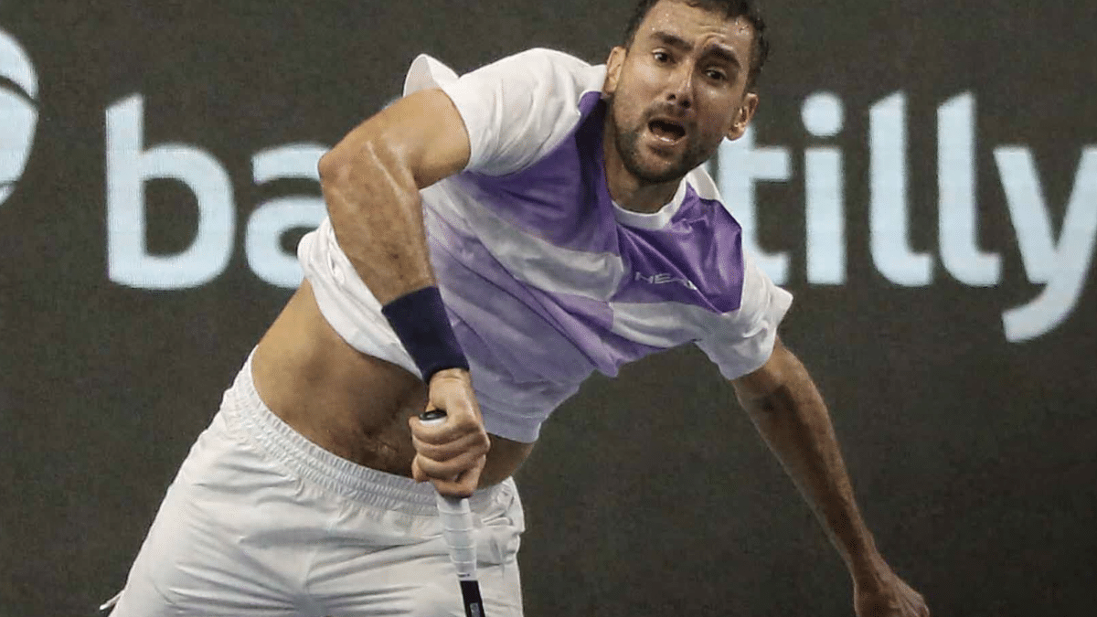 Após seis anos juntos, Cilic e o técnico Visak se separam