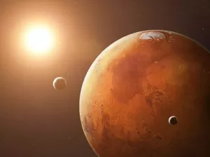 Quais serão os primeiros animais a viver em Marte?