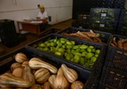 Governo abordará "todas as variáveis" para deflacionar alimentos, diz Paulo Teixeira - Em entrevista à Globo News, Paulo Teixeira afirmou que governo tentará estratégia multisetorial para lidar com preço dos alimentos. Foto: Pedro França/Agência Senado