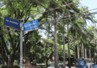 Campinas: poda de árvore interdita ruas no entorno da praça Carlos Gomes neste sábado (3)
