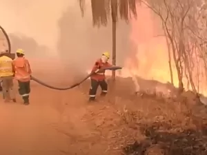 Bolívia passa por onda de incêndios florestais; parte das áreas queimadas é da Amazônia?