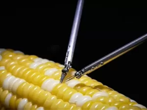 Novo robô de microcirurgia da Sony costura grão de milho em vídeo