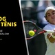 Safiullin e Djokovic mostram a Fonseca como se joga na grama
