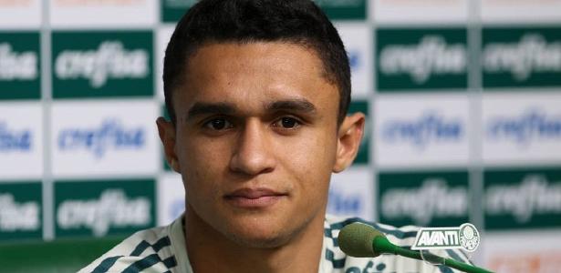 Cesar Greco/Ag Palmeiras/Divulgação