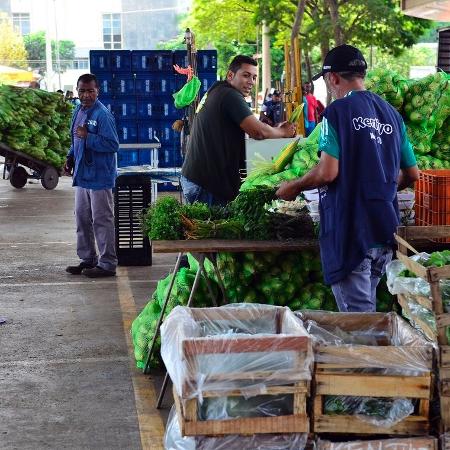 Índice de preços Ceagesp cede 2,6% em fevereiro, puxado por frutas - Funcionários do Ceagesp SP Foto: Rovena Rosa/Agência Brasil