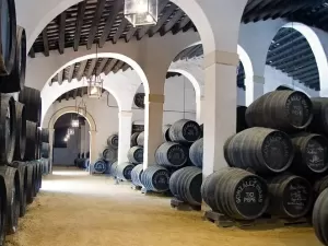 Descubra o significado do termo 'en rama Sherry' nos vinhos espanhóis