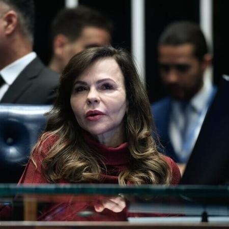 A senadora Professora Dorinha Seabra